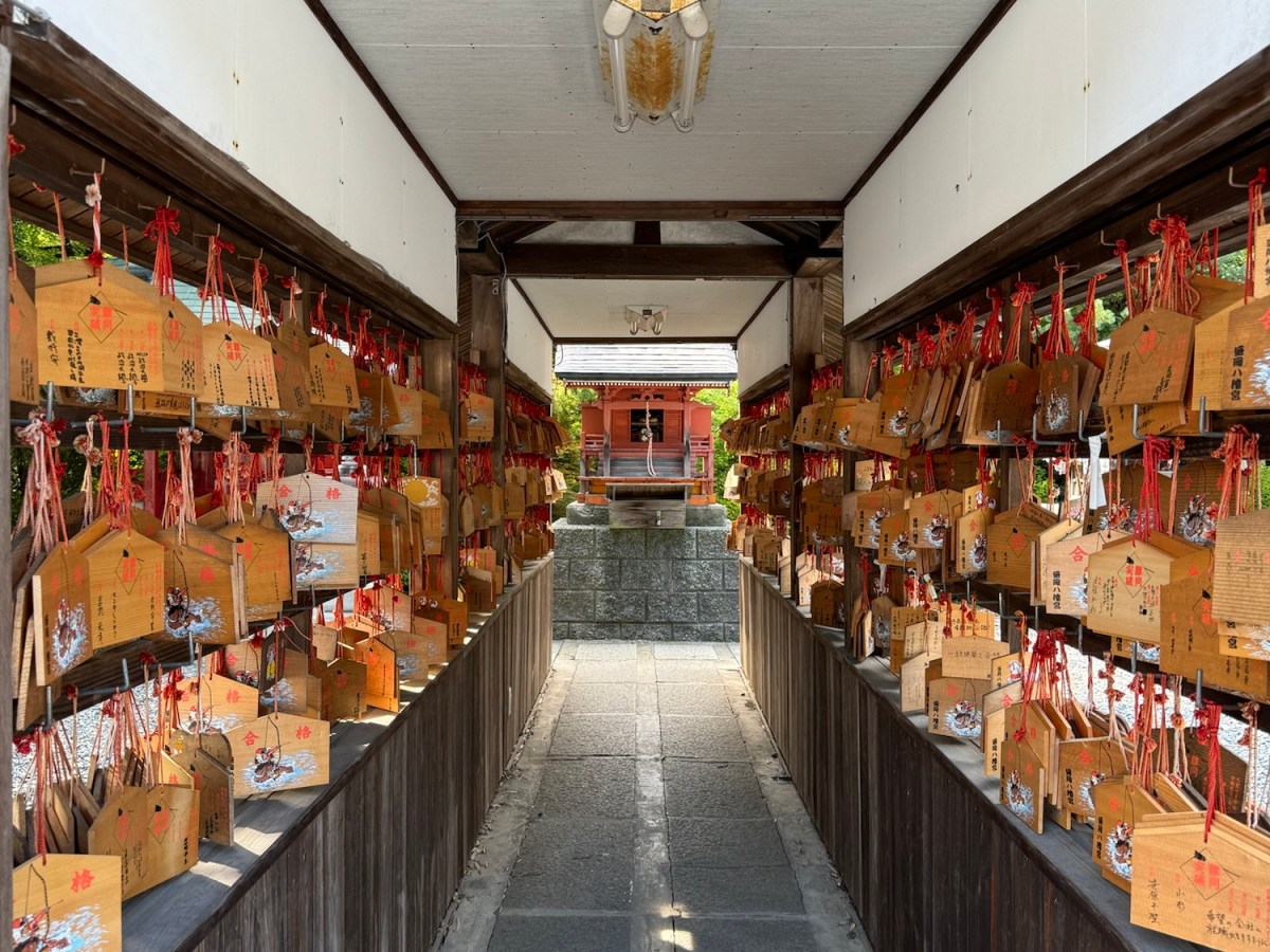 Morioka, la perle d&rsquo;Iwate: Un voyage culinaire et&nbsp;culturel