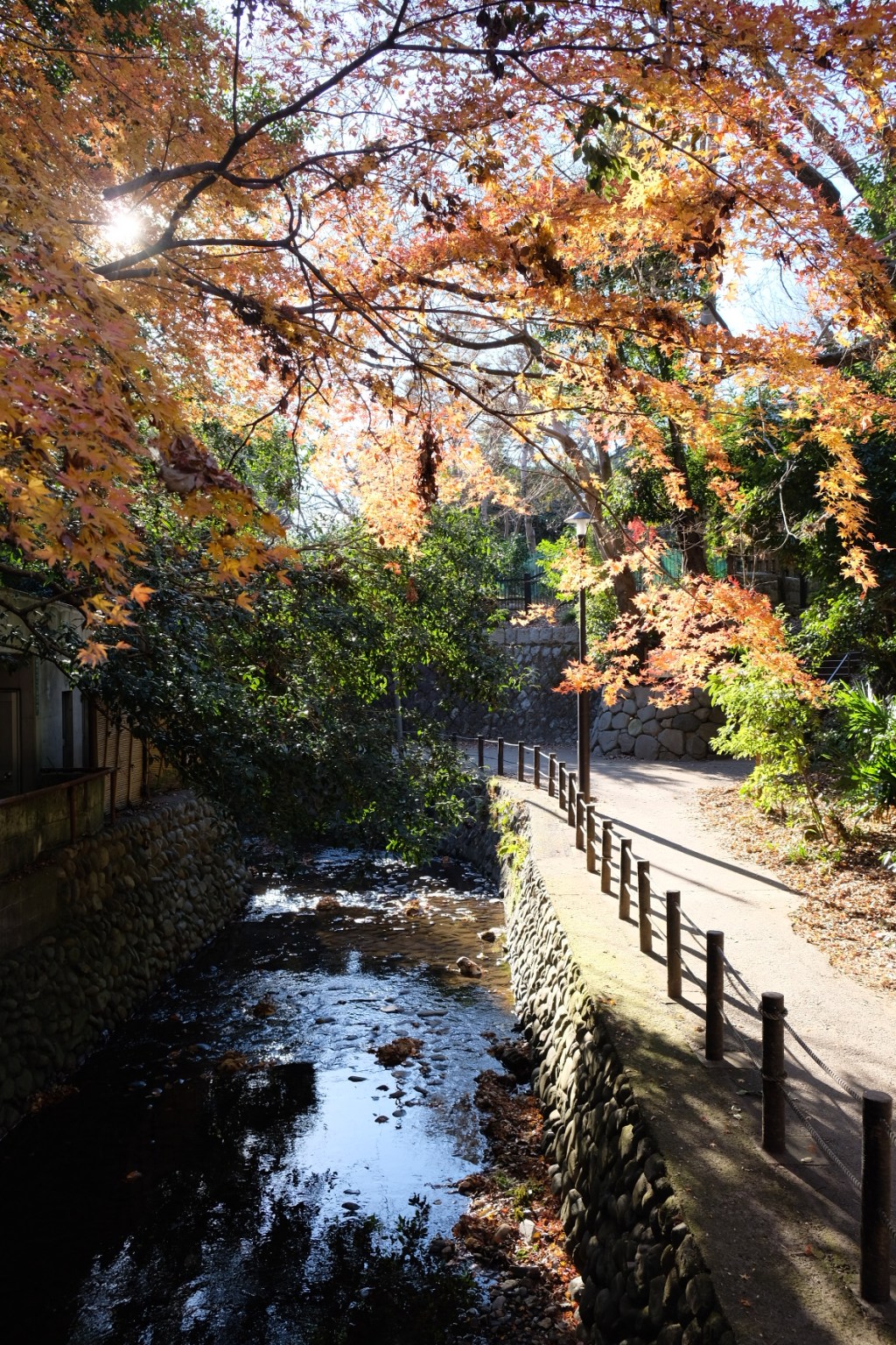Visitez Todoroki, Jiyugaoka et Plus : Évasion Urbaine près de&nbsp;Shibuya